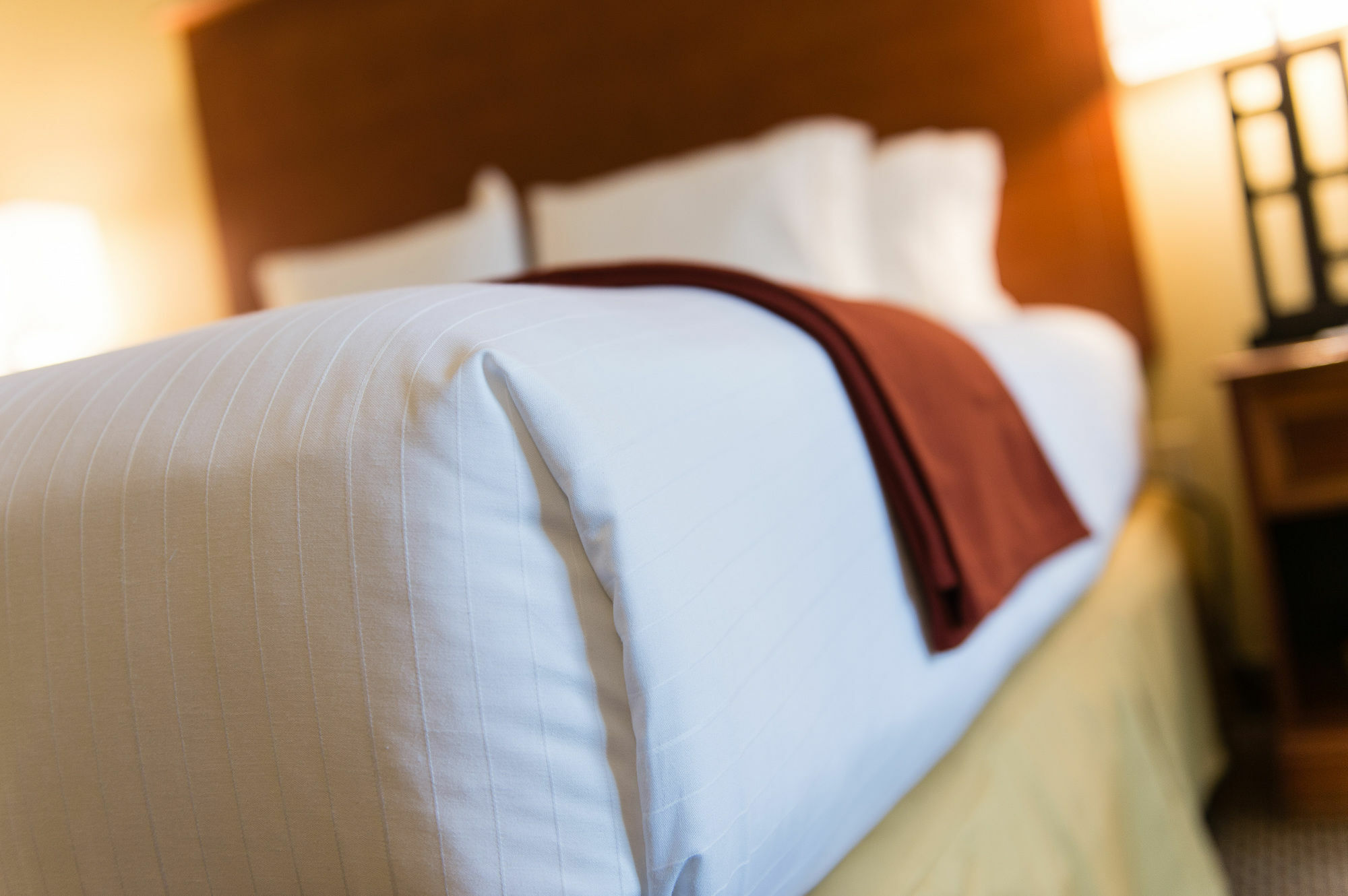 Holiday Inn Express & Suites Columbia-I-26 @ Harbison Blvd By Ihg Eksteriør billede